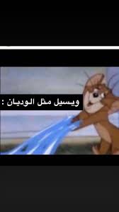 Pin By صمتي حكايہ On فله تايم Arabic Jokes Reactions Meme Arabic Memes