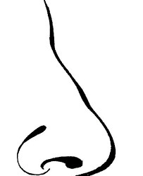 Nose coloring page is one of the coloring pages listed in the body part coloring pages category. Pin On Colouring Mermaid