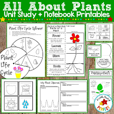 I thought i better get prepared with some preschool sports theme activities. All About Plants Unit Study Lapbook Printables