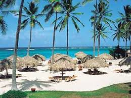 Iberostar Bavaro Resort Punta Cana Punta Cana Resort Places To Travel Popular Travel Destinations