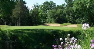 Image result for Lawsonia