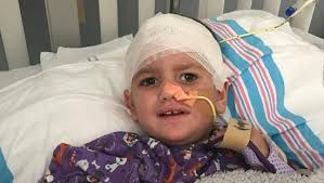 Fundraiser for Lisa Jones by Allison Goodman : Maci's Fundraiser