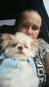 Lost pinkish collared dog found, contact owner