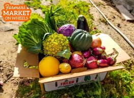 Additionally, clark pest control helps homeowners keep their gardens free of pests and well fertilized. Clark Pest Control Service Burlingame Ca Patch