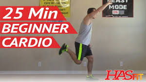 25 min beginner cardio workout at home