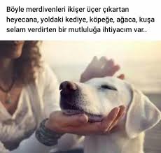 Seli Grasia Adli Kullanicinin Ozlu Sozler Panosundaki Pin Guzel Soz Benlik Ozlu Sozler