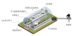智易时代温室大棚远程智能环控监测系统方案- 天津智易时代科技 ...