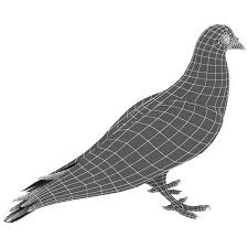 Pigeon Modelled 3d Model 3d Model Pigeon Model