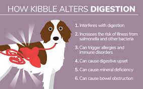 Mixing Kibble With Raw Here S The Problem Dogs Naturally Raw Dog Food Recipes Medication For Dogs Kibble