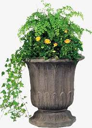 Pin By Clothing On Maureen Ceramic Flower Pots Flower Pots Ceramic Flowers