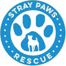 Pet rescue services/pet search st. St Louis Mo Animal Shelters Rescues Chewy Com