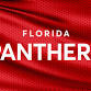 Carolina Hurricanes at Florida Panthers event image