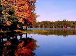 It replicates the falling green. Free Fall Screensavers Wallpapers Wallpapers Hd Fine Desktop Background