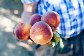 15 Fruits Et Legumes A Ne Pas Mettre Au Frigo
