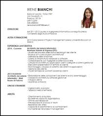 Modello Curriculum Architetto Dei Sistemi Informatici Livecareer