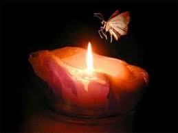 Aléjate del fuego, porque quema | Mundo Poesía | Foros de poemas