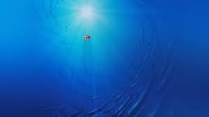 134 typography 125 cartoons 116 logo 114 celebrations 108 creative 96 3d 75 cute 62 graphics 61 planes 32 food 28. Wallpaper For Desktop Laptop Aq58 Finding Dory Disney Nemo Cute