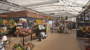 Maybe you would like to learn more about one of these? Tagawa Gardens The Ultimate Gardening Store Near Parker Home In Parker Colorado