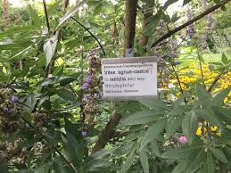 Botanischer garten der universitat hohenheim is a beautiful garden maintained by the university of hohenheim. Hohenheimer Garten Stuttgart 2020 All You Need To Know Before You Go With Photos Tripadvisor