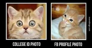 Check out our saturday meme collection and add humor to your day! 18 Cat Memes To Fill Your Caturday With Joy