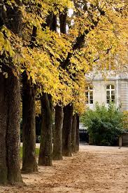 Francia Parigi Jardin Du Luxembourg Autumn Home Autumn Scenery Paris In Autumn