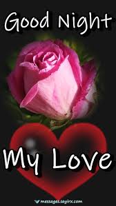 Good night love flowers for my wife. Good Night My Love Wishes Messages
