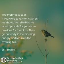 Birds Chirping In The Morning Islam Pin On Tazzkiyah