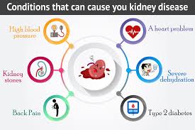 Pin On Kidney Disease
