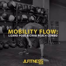 Animalflow Bodyweighttraining Cardio Yoga Mobility Regram Via Jlfitnessmiami Lizard Pose Animal Flow Body Weight Training