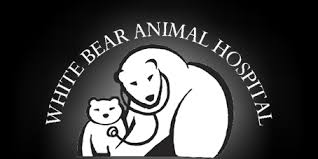 Looking for a free yorkie, pomeranian, or any small indoor dogs. White Bear Animal Hospital White Bear Lake Minnesota