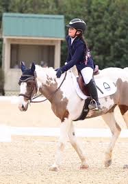 Exciting Dressage Show Preview in Horse Photography