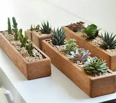 20 Awesome Small Wooden Planter Ideas To Refresh Your Space Plants Succulents Diy Succulents