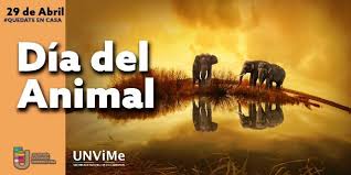De las mascotas con fama propia a las mimadas de los famosos cada 29 de abril en argentina celebramos el día del animal. Dia Del Animal Unvime Universidad Nacional De Villa Mercedes San Luis Argentina