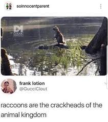 Tiktok is a place where owners of exotic animals — including slow loris like this one, as well as marmoset monkeys, servals, and raccoons — can show them off to the world. 25 Best Memes About Frankness Frankness Memes