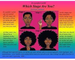 Stages Of Natural Hair Growth Super Hair Growth Hair Growth Stages Natural Hair Styles