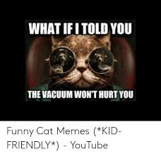 Memes are the most popular among youth on social media like facebook, twitter, instagram, and more. What Ifi Told You The Vacuum Wont Hurt You Funny Cat Memes Kid Friendly Youtube Funny Meme On Me Me