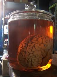 Quick Easy Effective Prop Glass Jar From Walmart Fake Brain Water With A Little Coke In It Mad Scientist Halloween Mad Scientist Party Halloween Science
