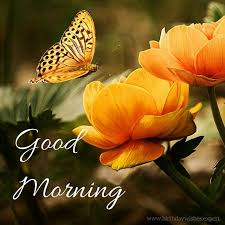 Maybe you would like to learn more about one of these? 60 Good Morning Images With Beautiful Flowers Updated 2019 Good Morning Flowers Morning Images Good Morning Images
