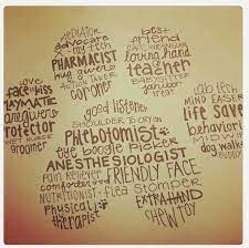  What Does A Vet Tech Do More Like What Doesn T A Vet Tech Do Vet Tech Quotes Vet Tech Humor Vet Tech