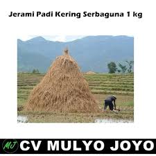 Vice president joe biden is live at canvass kickoff in beaver county, pennsylvania. Jual Jerami Padi Kering Serbaguna 1 Kg Serbaguna Kab Blitar Restu Jagat Store Tokopedia