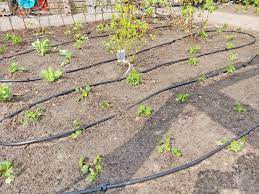 beregening in je tuin ontdek onze tips in deze blog
