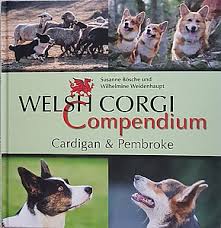 I also raise australian cattle dogs, blue heelers, red heelers, miniature and standard. Welsh Corgi News