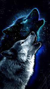 Find the perfect wolf picture from over 2,000 of the best wolf images. Galaxy Wolf Wallpaper Wallpaper Sun