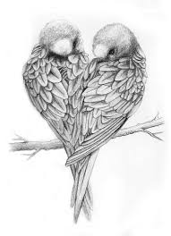 Grandpa Or Grandma Hummingbirds Or Owls Instead Love Birds Drawing Bird Drawings Bird Sketch