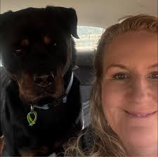 The Chosen is the first-ever multi-season show about Jesus. Come and see  the free, record-shattering show that millions of people won't stop talking  about!