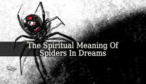 The Spiritual Meaning Of Spiders In Dreams Is Complex To Understand It Better You Have To Analyze Y Meant To Be Spiritual Meaning Spiritual Meaning Of Dreams