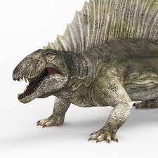 Our collection of realistic dinosaur figures span dozens of creatures, including the dimetrodon, acrocanthosaurus, velociraptor, adasaurus, and many others. Dimetrodon Dinosaurier Mit Pbr Texturen 3d Modell Turbosquid 1603245