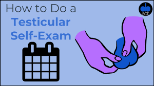 How do you do a testicular self exam? How To Do A Testicular Self Exam Youtube