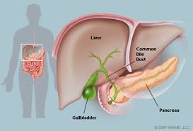 gallbladder picture definition problems tests function