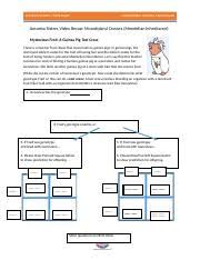 Amoeba sisters monohybrid crosses answer key shows the number of misconceptions exist. Amoeba Sisters Monohybrid Crosses Key Monohybrid Cross And The Punnett Square Youtube